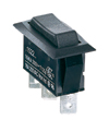 Small 15A Double Momentary Switch